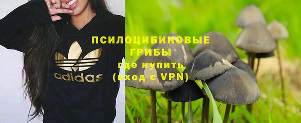 прущие крисы Нефтекумск