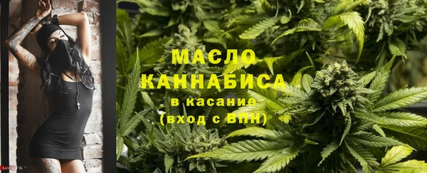 гидра Нея