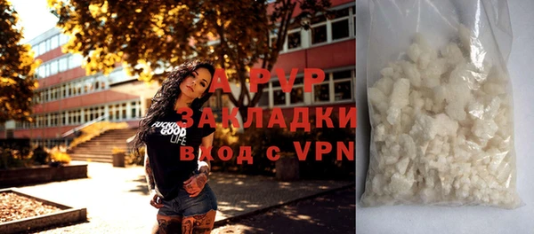гидра Нея