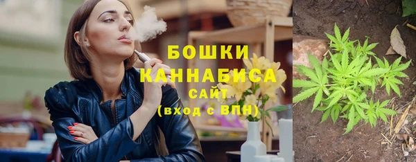 гидра Нея
